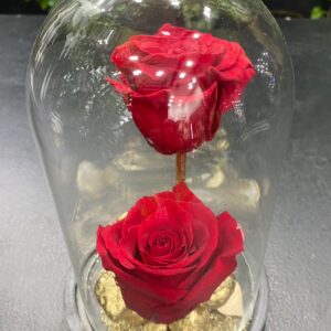 Τριαντάφυλλα  For ever  Δυο κόκκινα